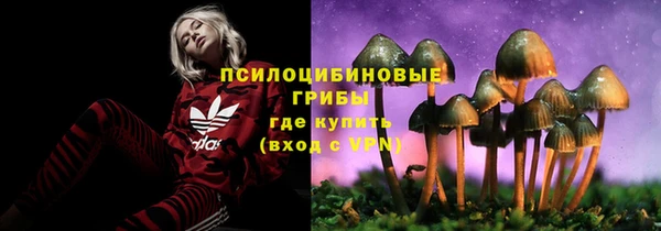 2c-b Аркадак