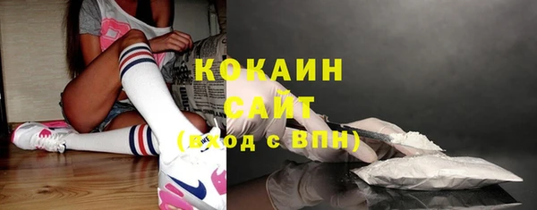 ешки Алексин