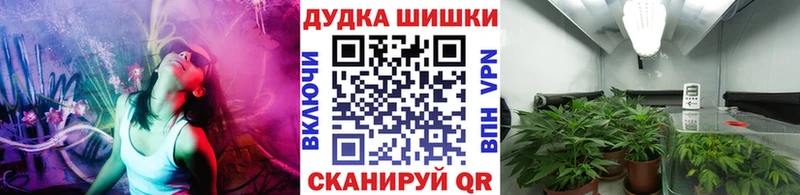 купить наркотики цена  Судогда  Бошки марихуана план 